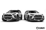 Toyota RAV4 by Climate 2019 года
